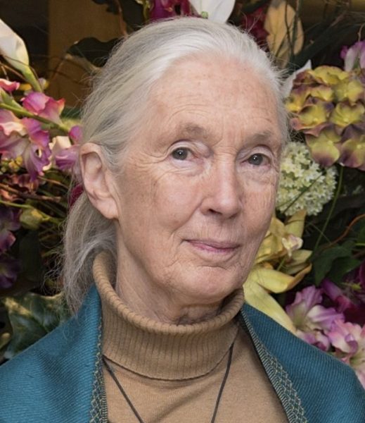Jane Goodall in 2015